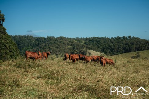 Lot 27, 46 Lynches Creek Road, WIANGAREE NSW 2474