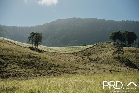 Lot 28, 46 Lynches Creek Road, WIANGAREE NSW 2474