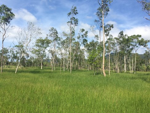 Lot 29 Richardson Road, CANNON VALLEY QLD 4800
