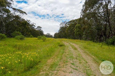 Lot 4 Bradley's Drive, TUMBARUMBA NSW 2653