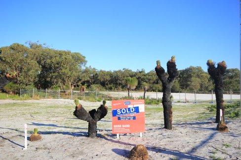 Lot 8 First Fleet Estate, DUNBOGAN NSW 2443