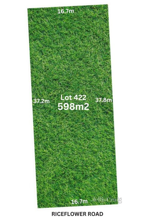 Lot 422 Riceflower Road Bannockburn 3331