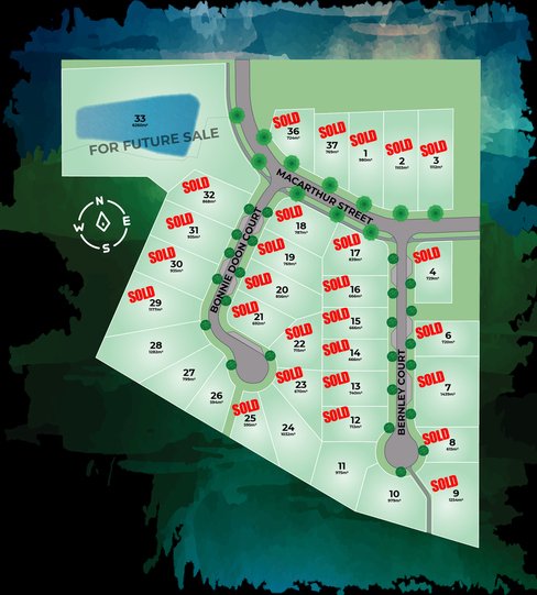 Macarthur Street, LAVINGTON