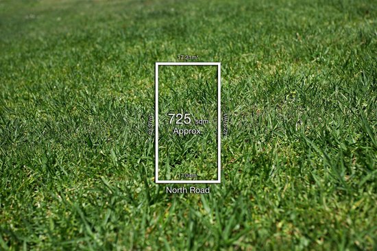 None - Photo 1
