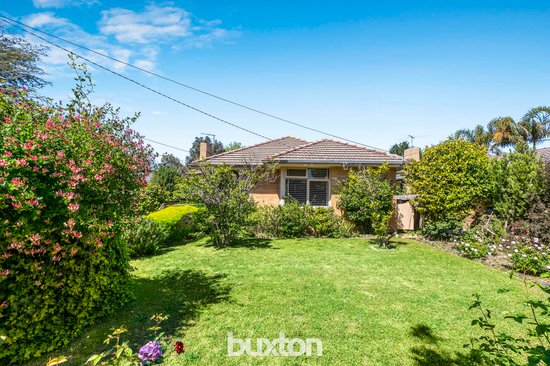 None - Photo 1