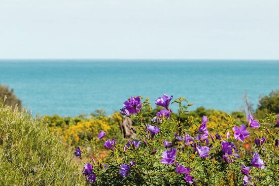 None - Photo 1