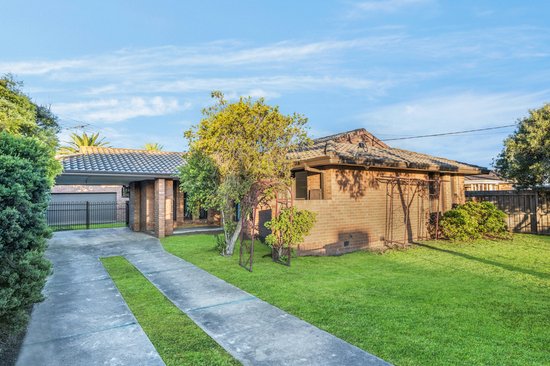 None - Photo 1