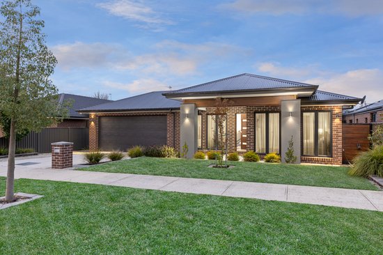 None - Photo 1