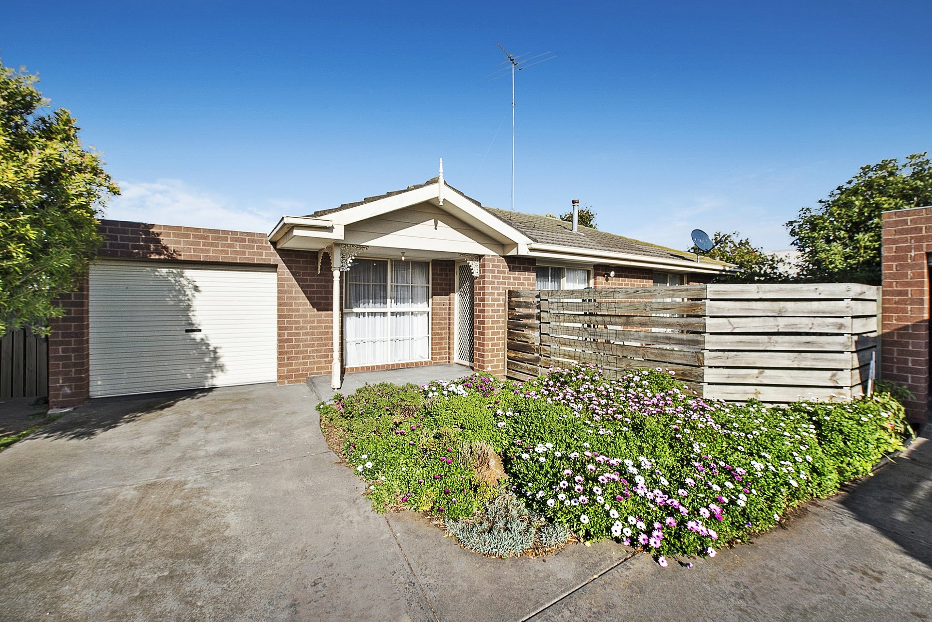 1 & 2/36 Hickey Street, Whittington image 1