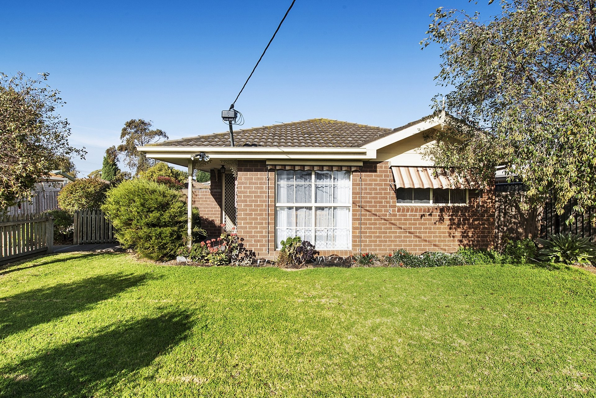 1 & 2/36 Hickey Street, Whittington image 2