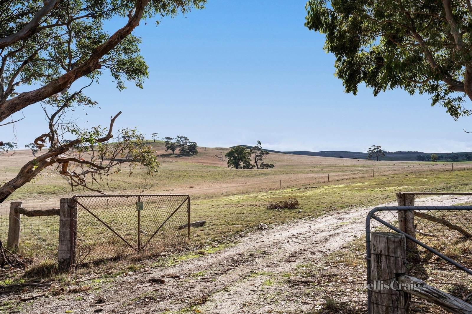 1 Bells Road, Linton image 13