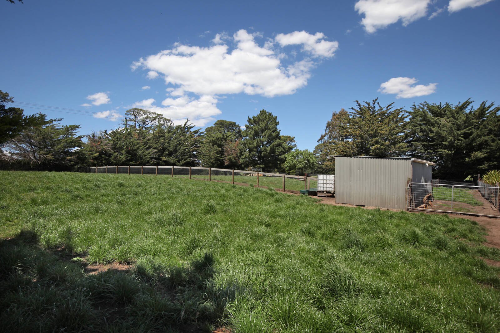 Property Gallery Thumbnail 15