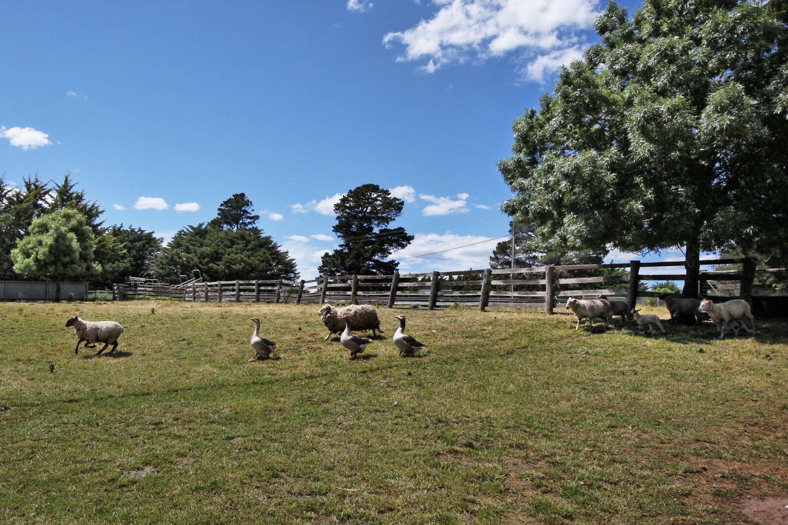 Property Gallery Thumbnail 16