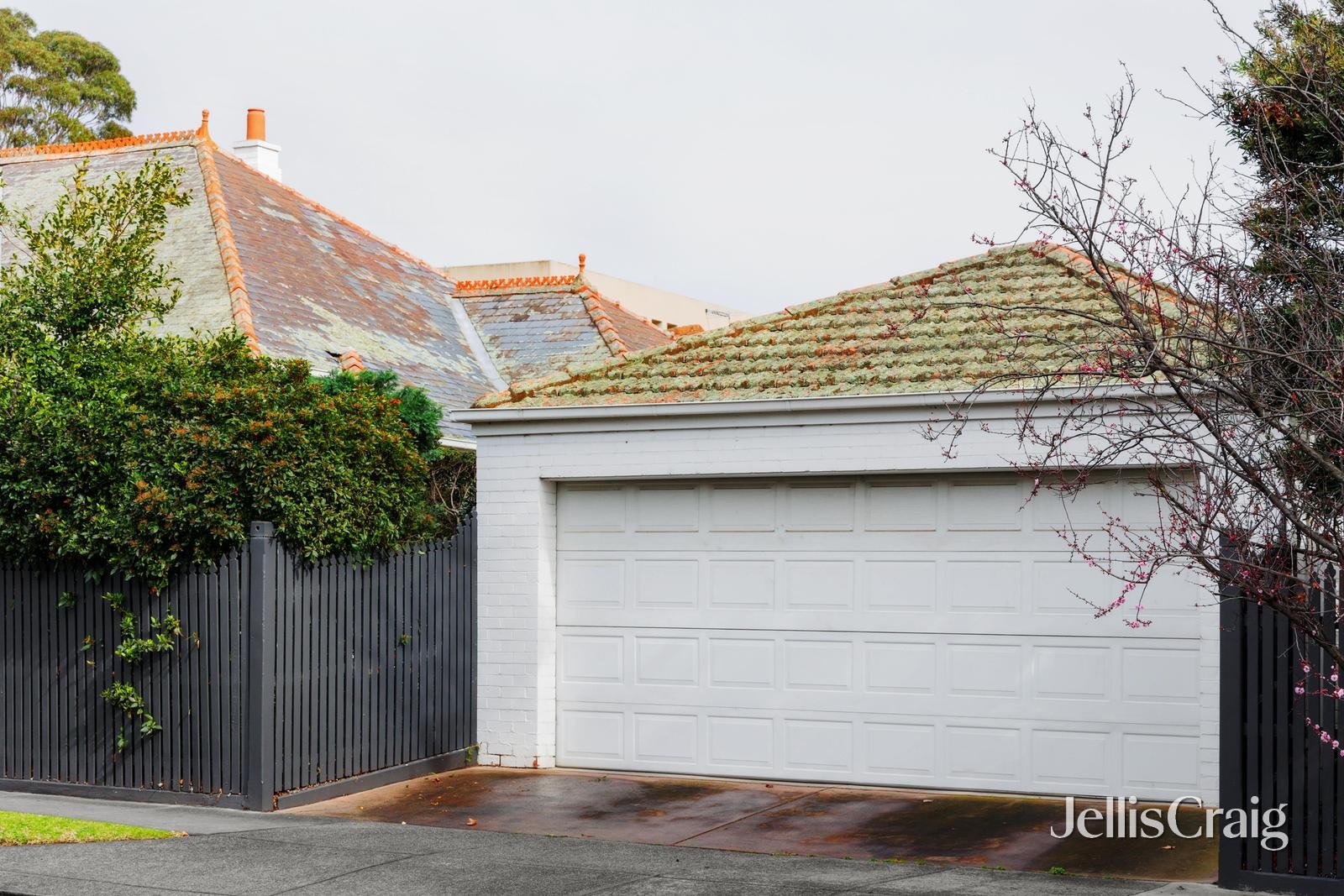 1 Canberra Grove, Malvern image 22