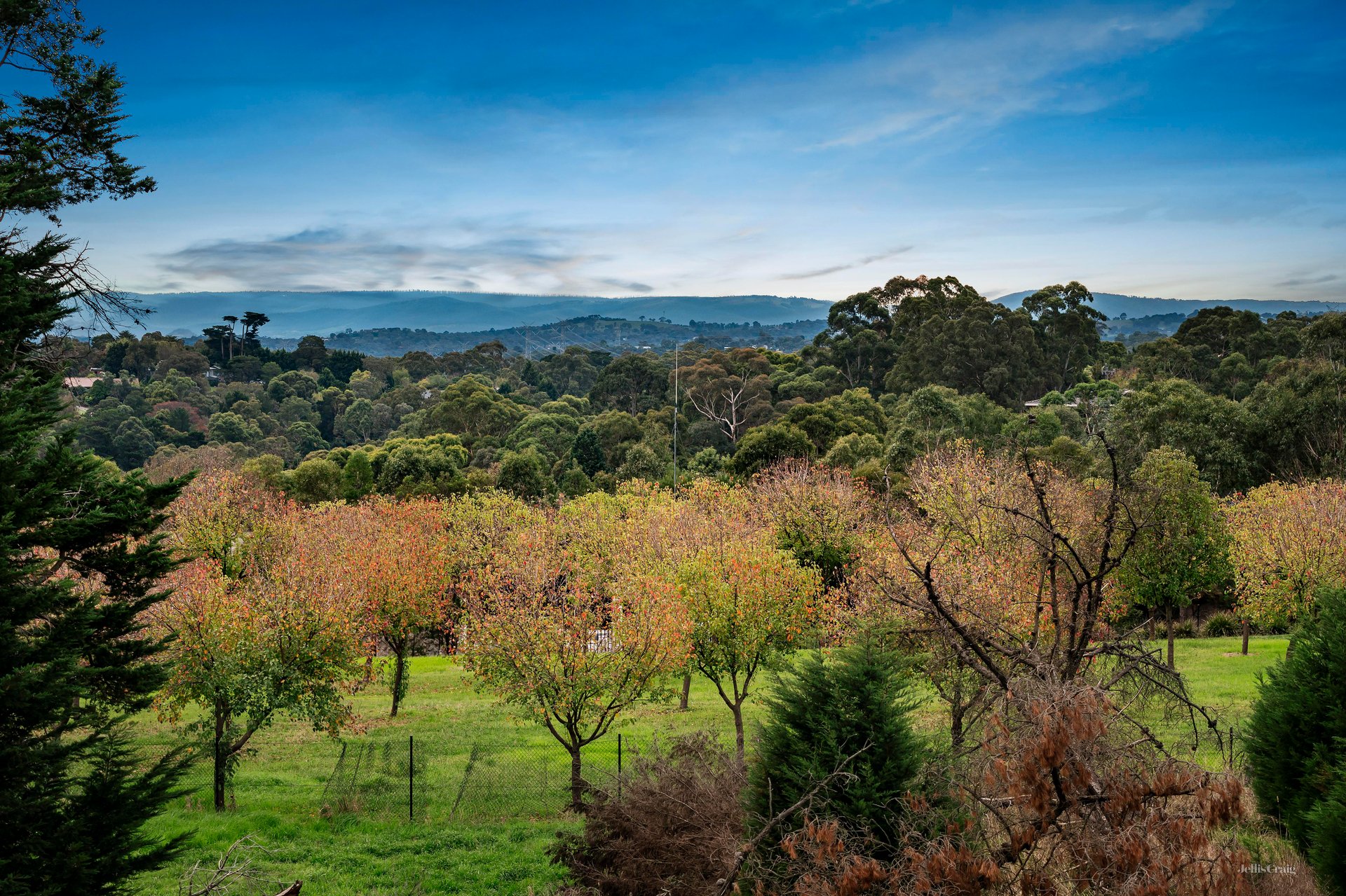 1 Clements Avenue, Donvale image 13