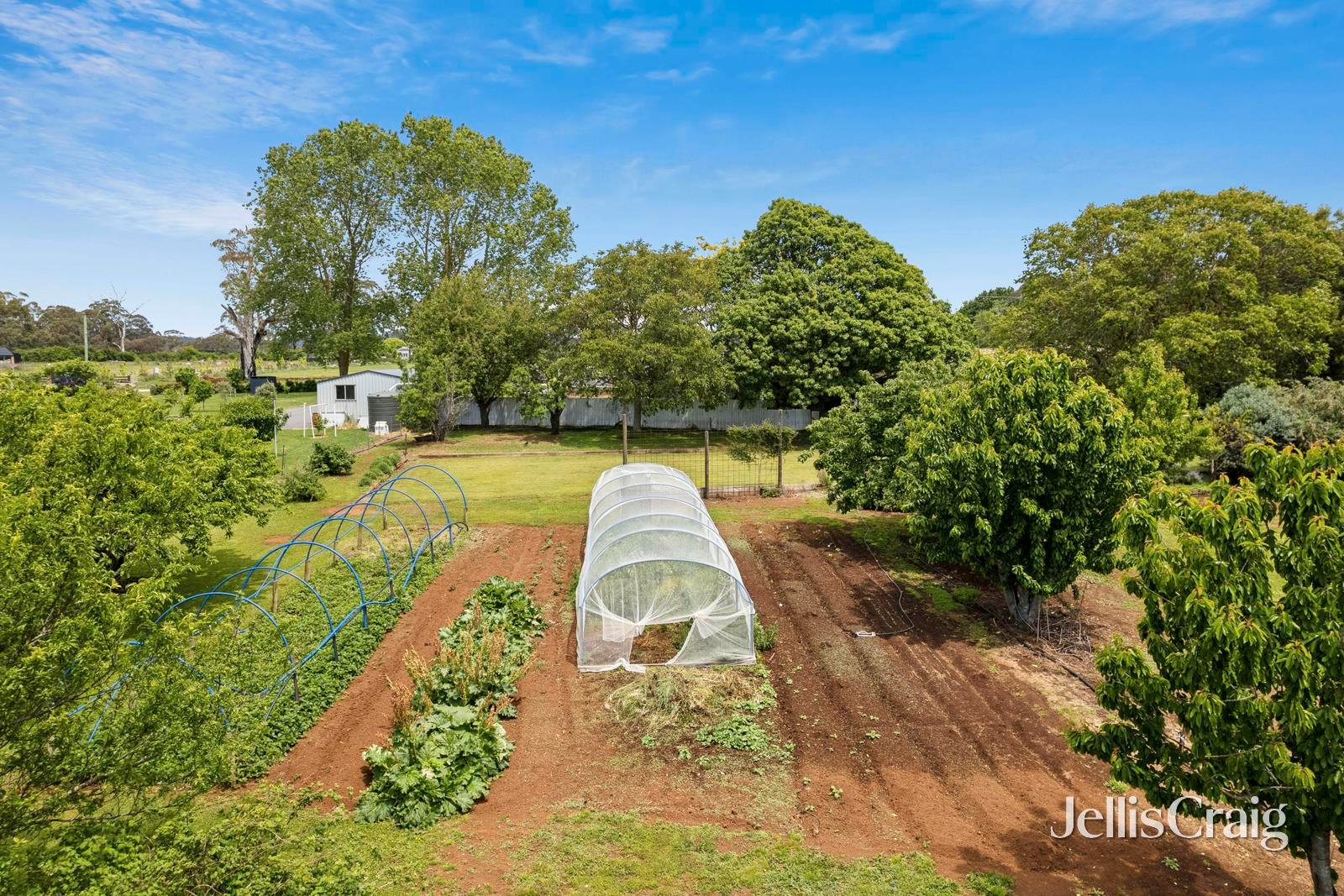 1 Dysart Street, Glenlyon image 10