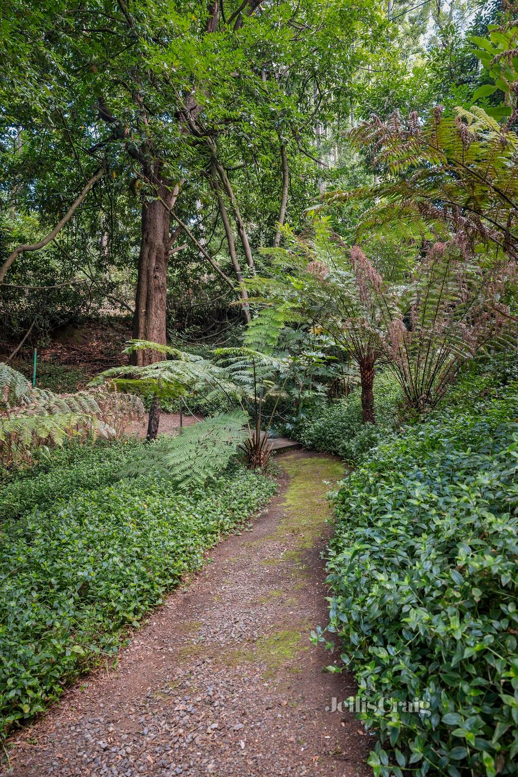 1 Ferndale Road, Warburton image 21