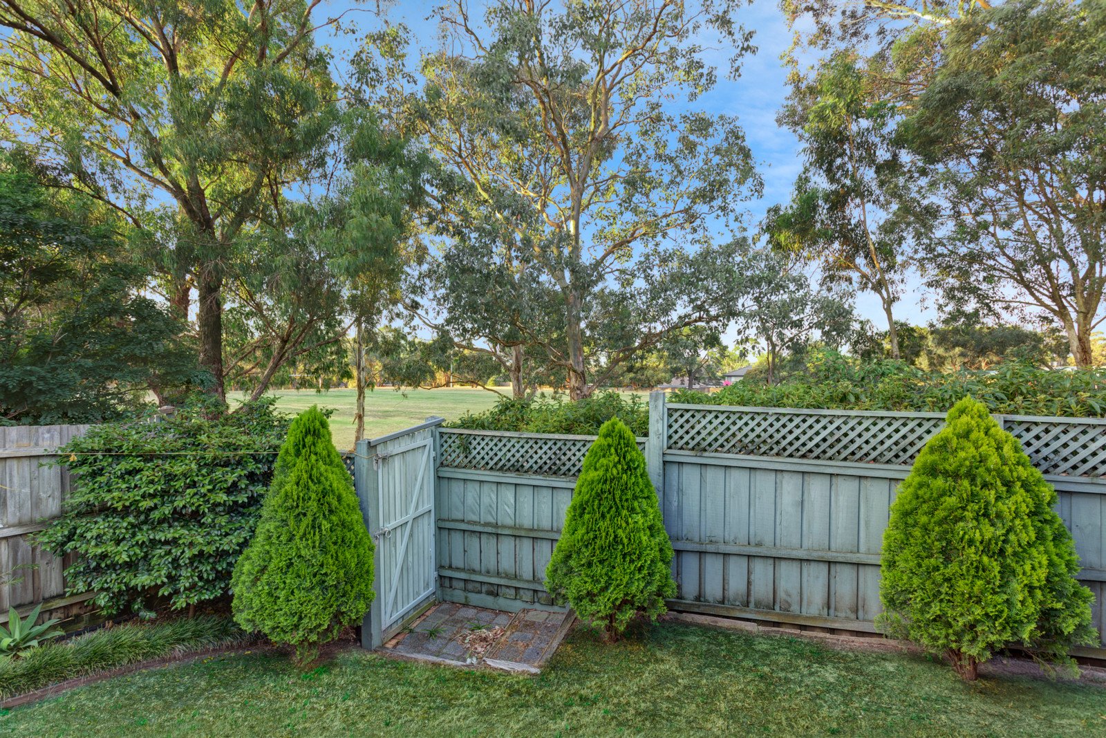 1 Golden Glen Road, Forest Hill image 8