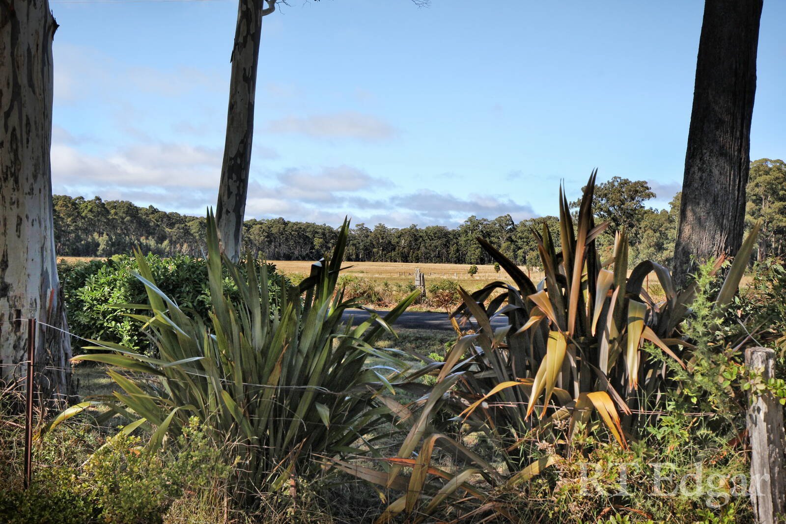 Property Gallery Thumbnail 13