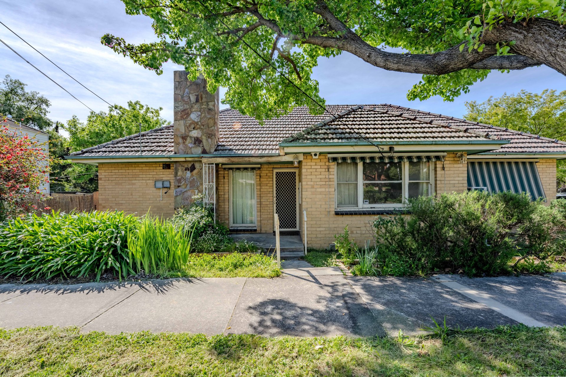 1 Halsey Street, Box&nbsp;Hill&nbsp;South image 2