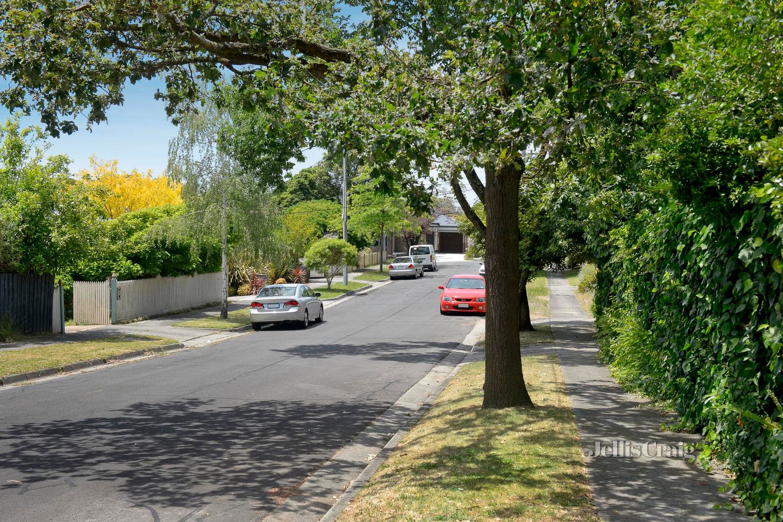 1 Horkings Street, Blackburn South image 6