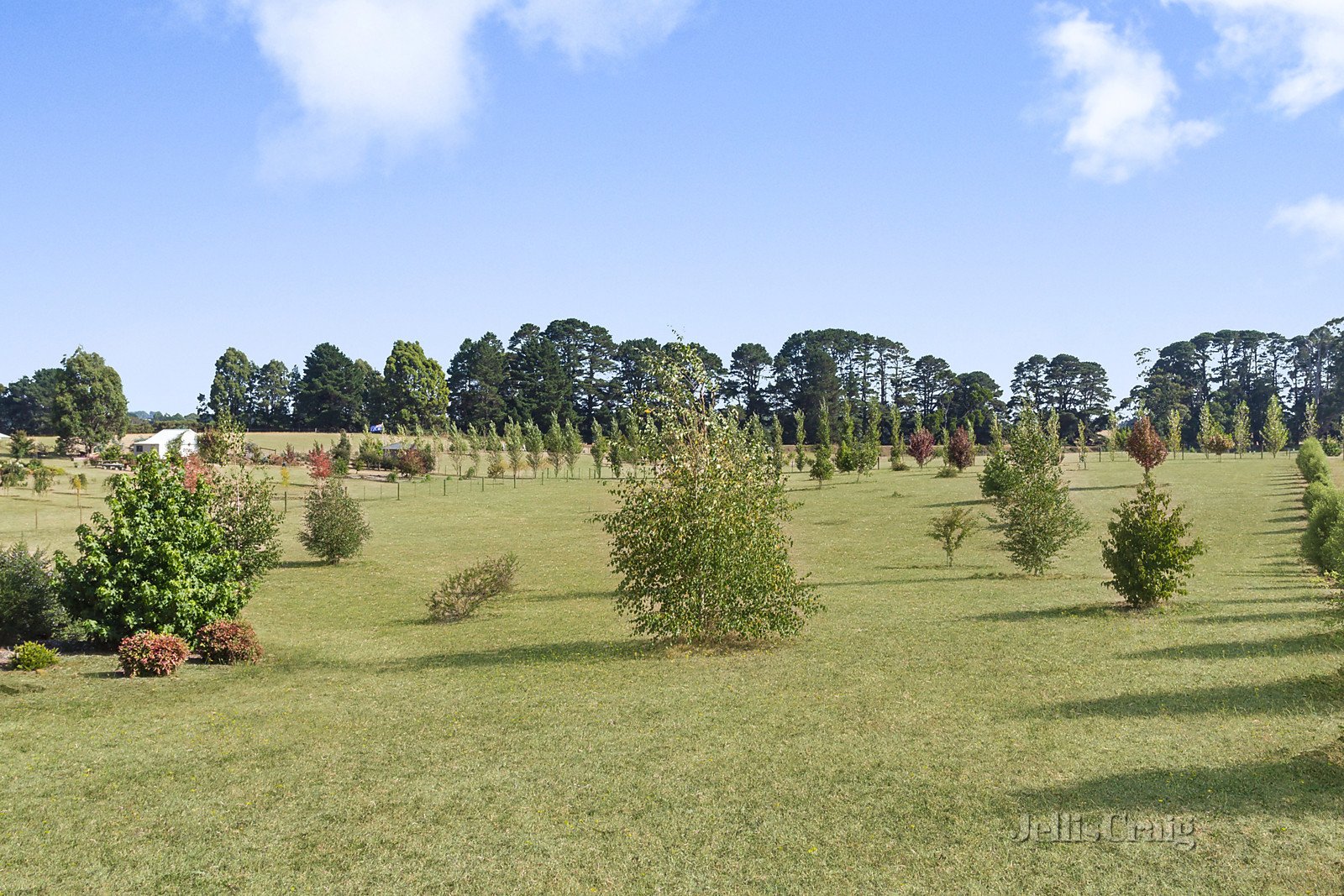 1 Kyneton Trentham Road, Trentham image 2