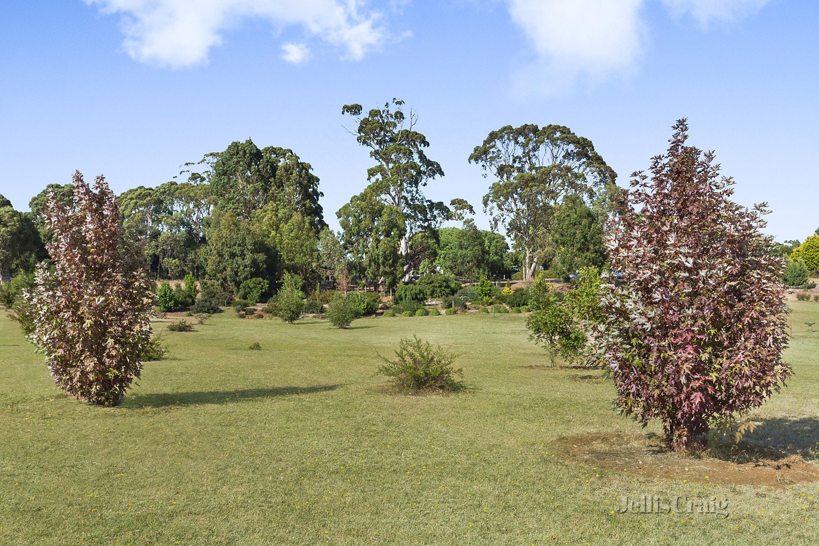 1 Kyneton Trentham Road, Trentham image 3