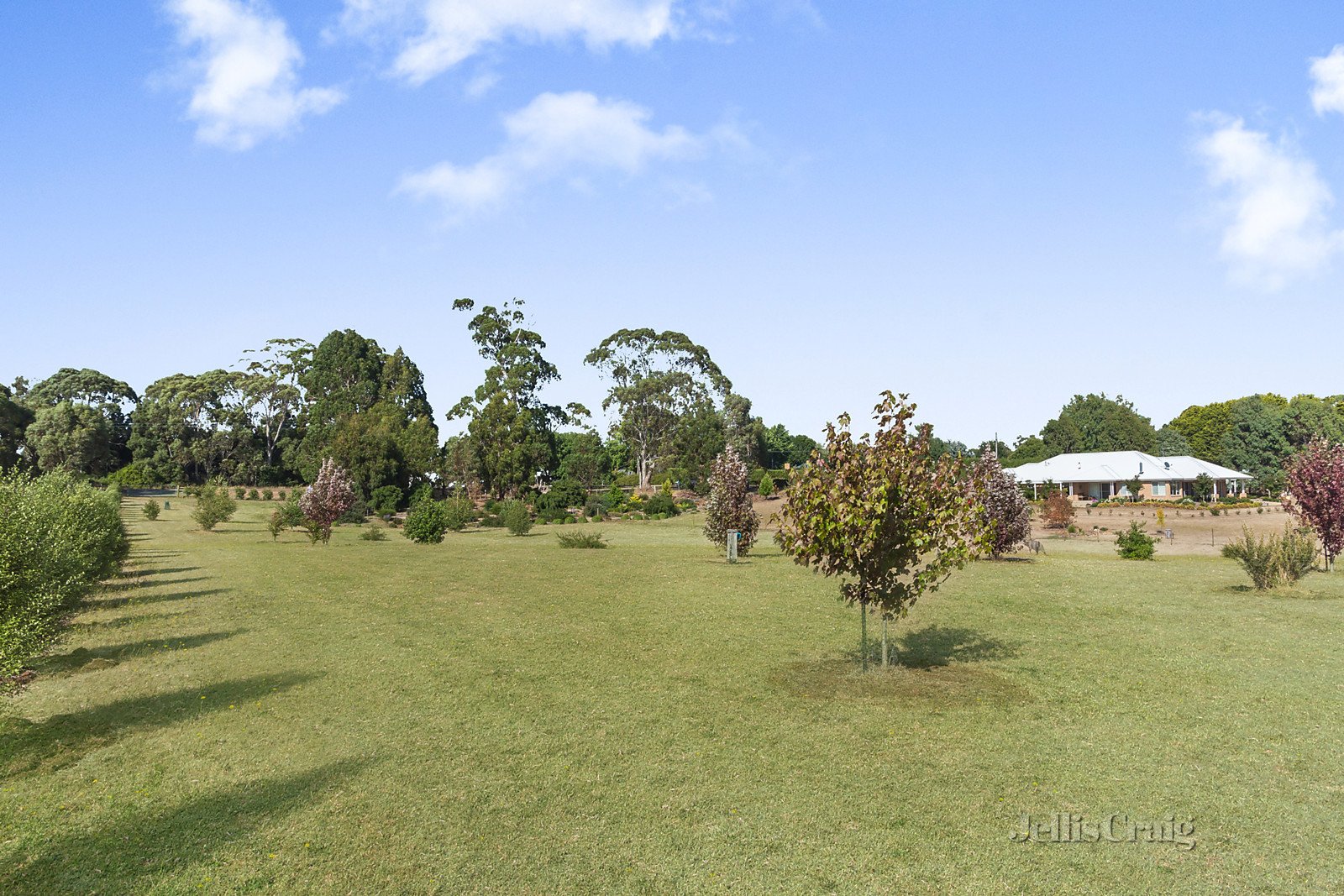 1 Kyneton Trentham Road, Trentham image 5