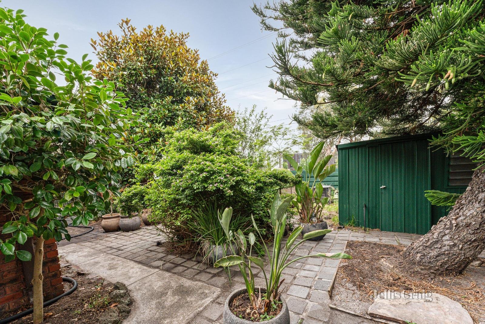 1 Larnark Court, Chelsea Heights image 12