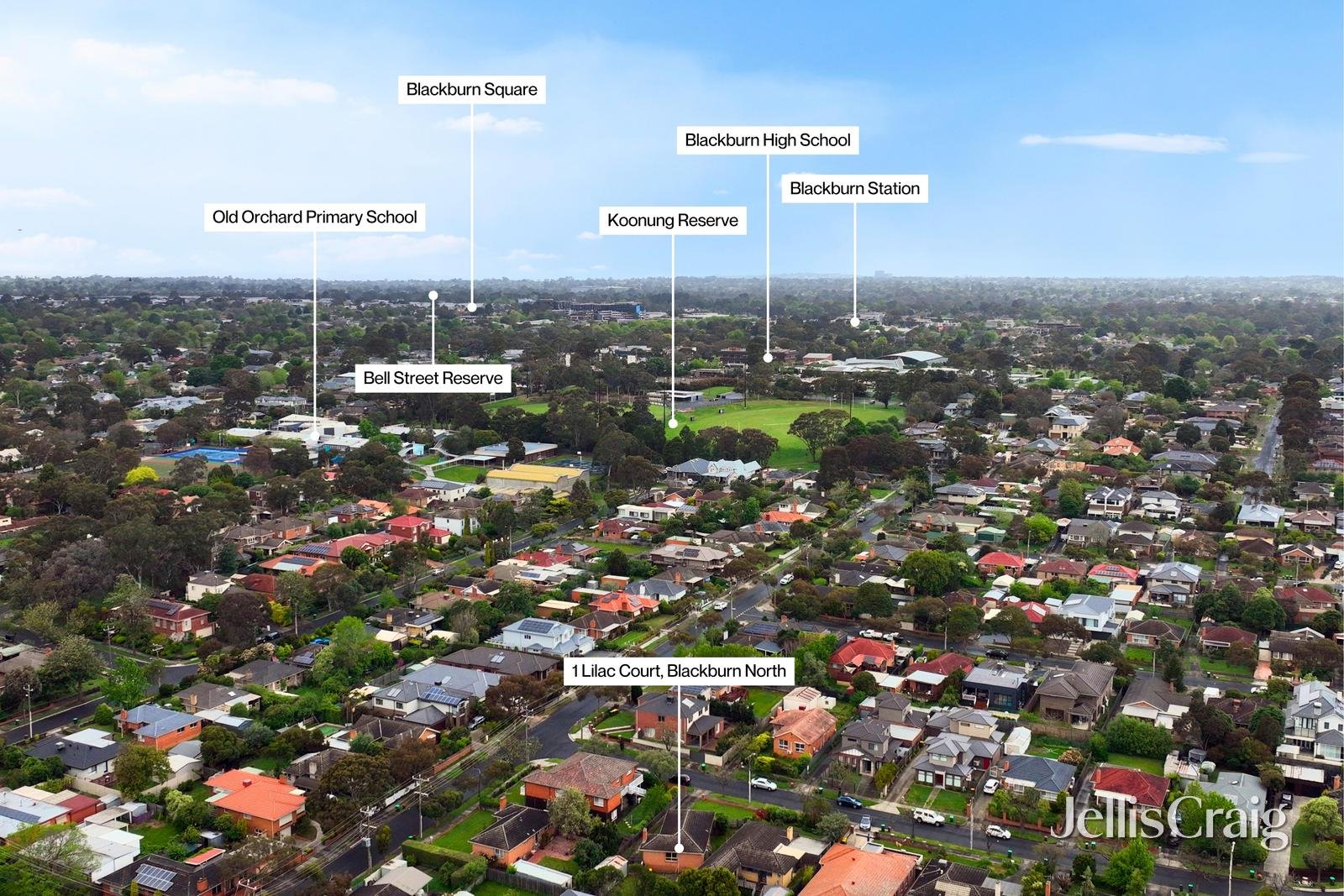 1 Lilac Court, Blackburn&nbsp;North image 12