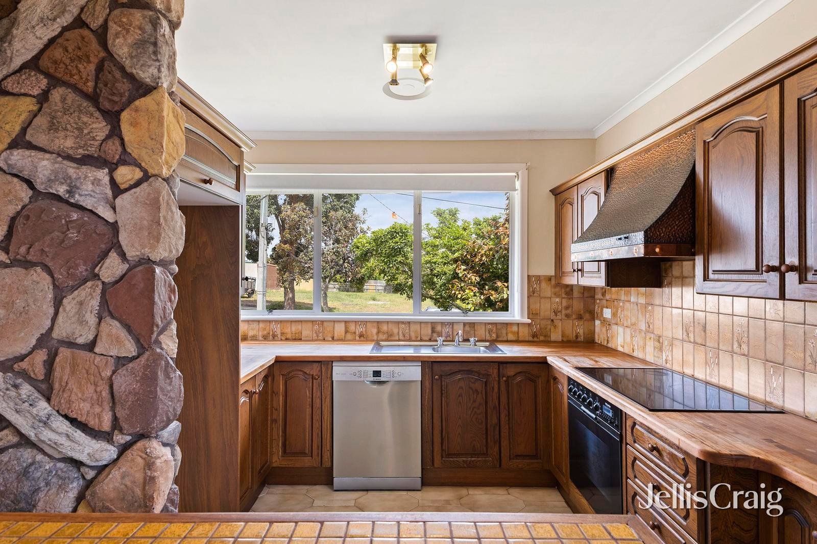 1 Norma Street, Doncaster image 4