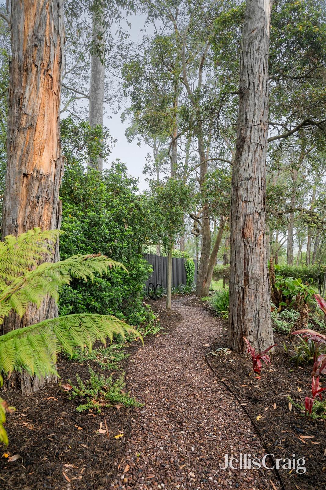 1 Pardin Court, Bayswater North image 17