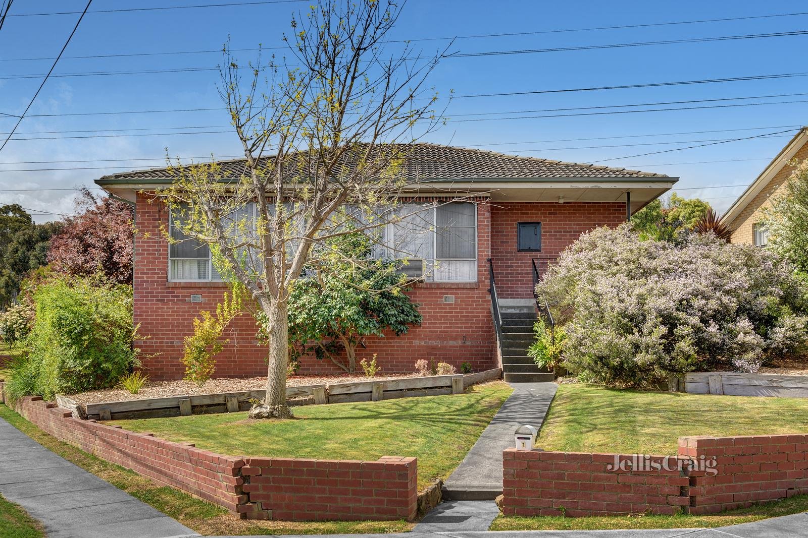 1 Saul Court, Greensborough image 3