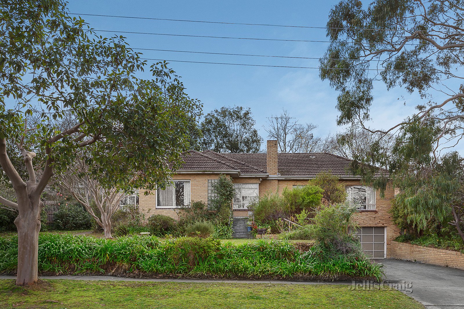 1 Tovey Street, Balwyn North image 2