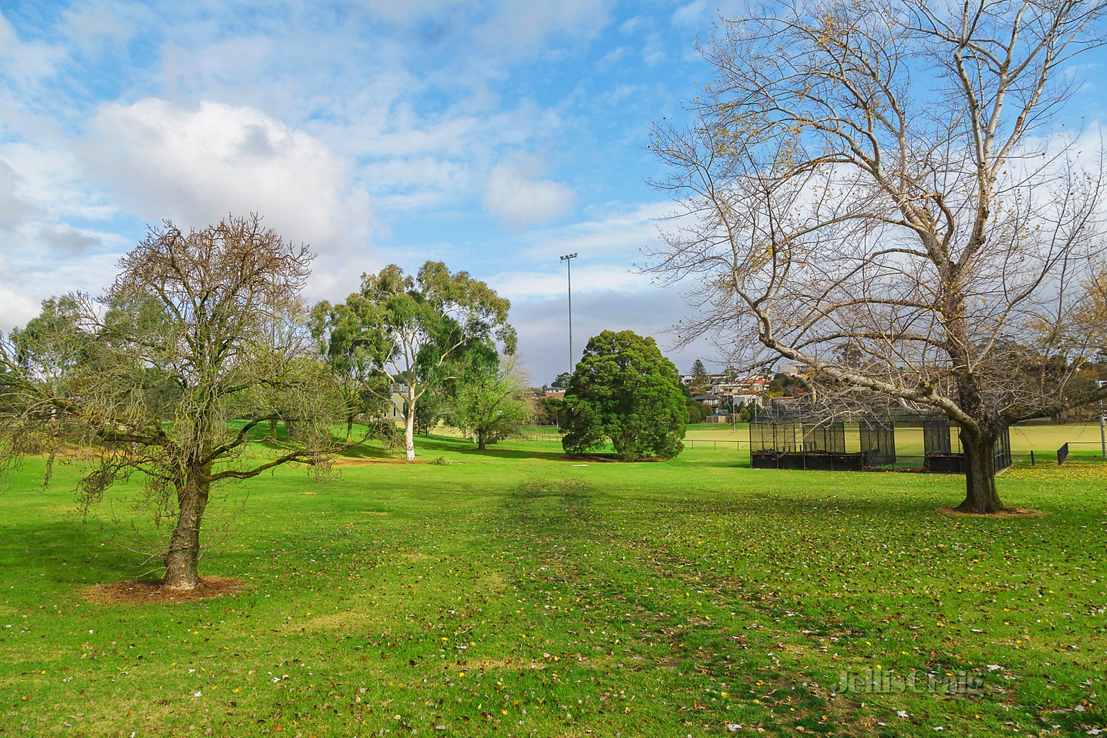 1 Tovey Street, Balwyn North image 11