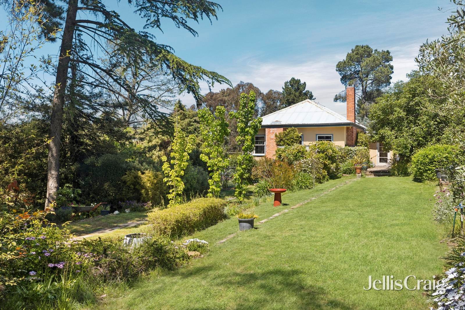 1 Wills Street, Castlemaine image 25