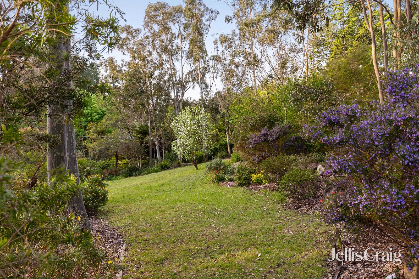 10-12 Curry Road, Park&nbsp;Orchards image 14