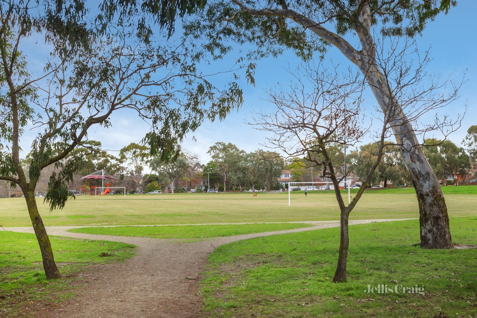 10 Albert Street, Surrey Hills image 9