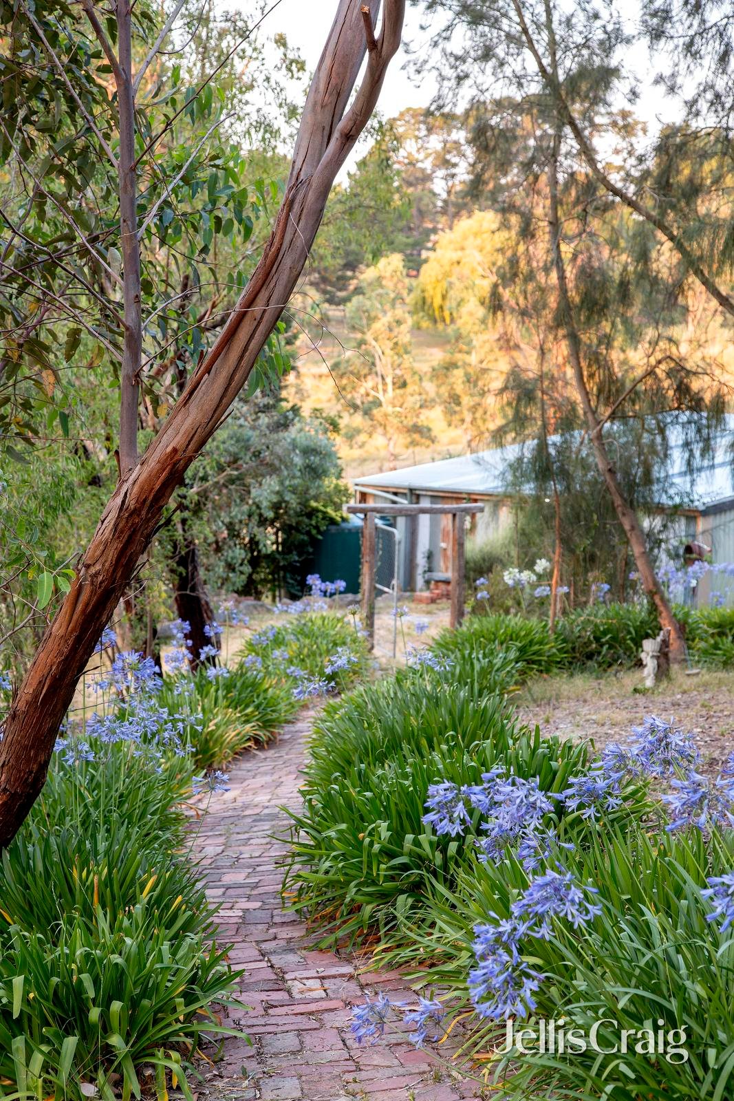 10 Barreenong Road, Cottles&nbsp;Bridge image 13