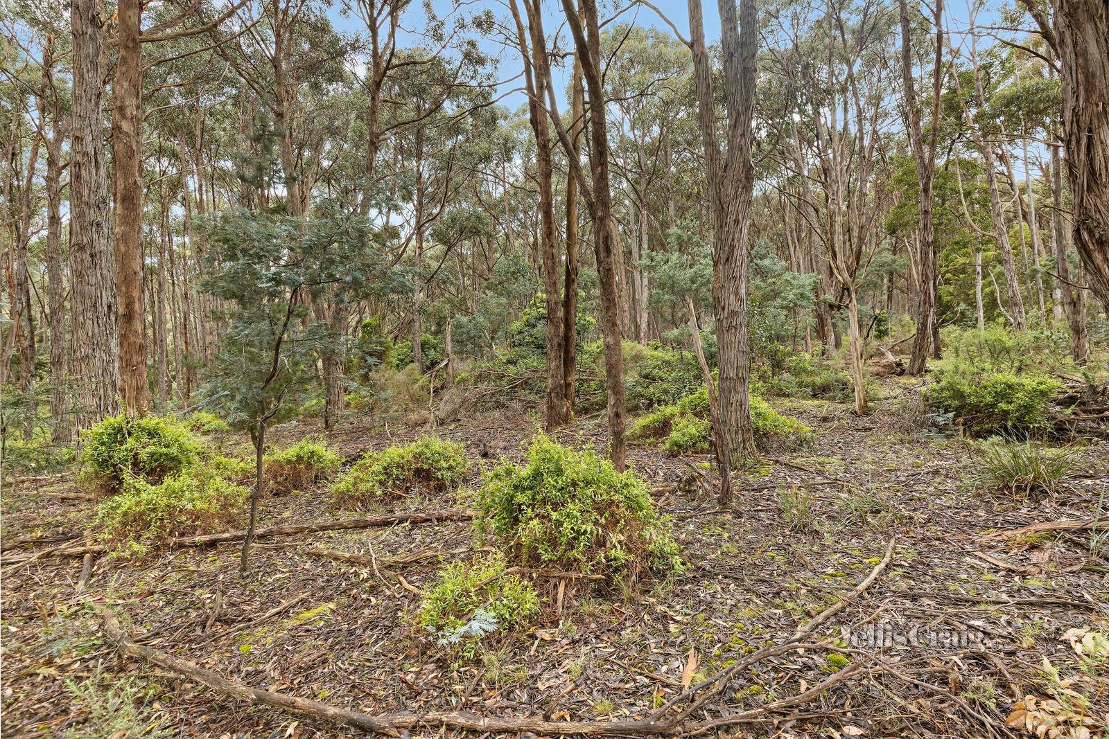 10 Bradshaw Court, Blampied image 5