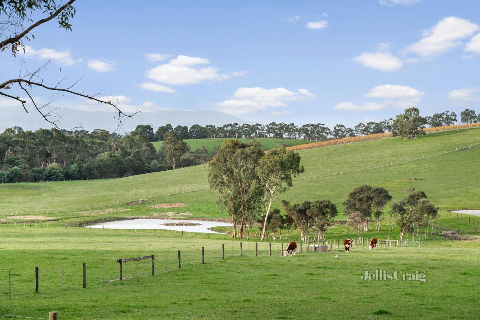 10 Carnoustie Lane, Chirnside Park image 18