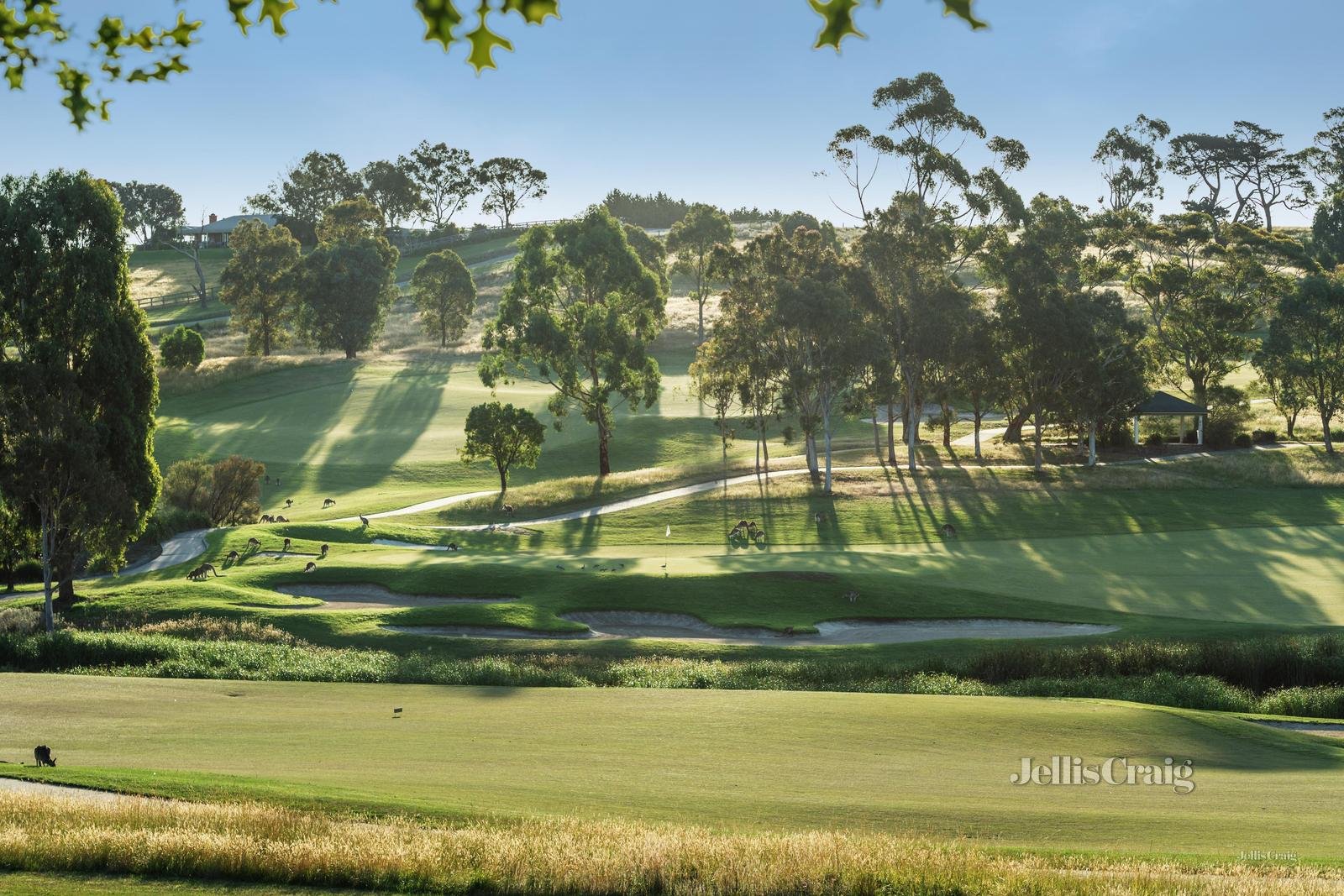 10 Carnoustie Lane, Chirnside Park image 20