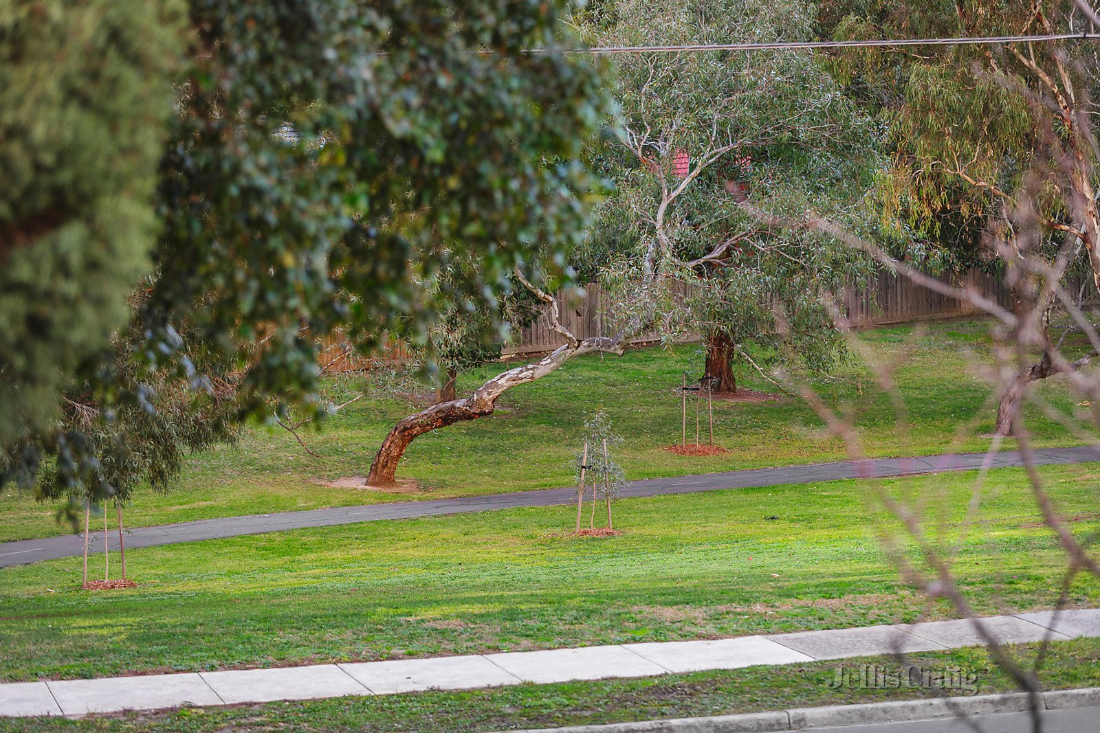 10 Cherry Tree Court, Doncaster East image 9