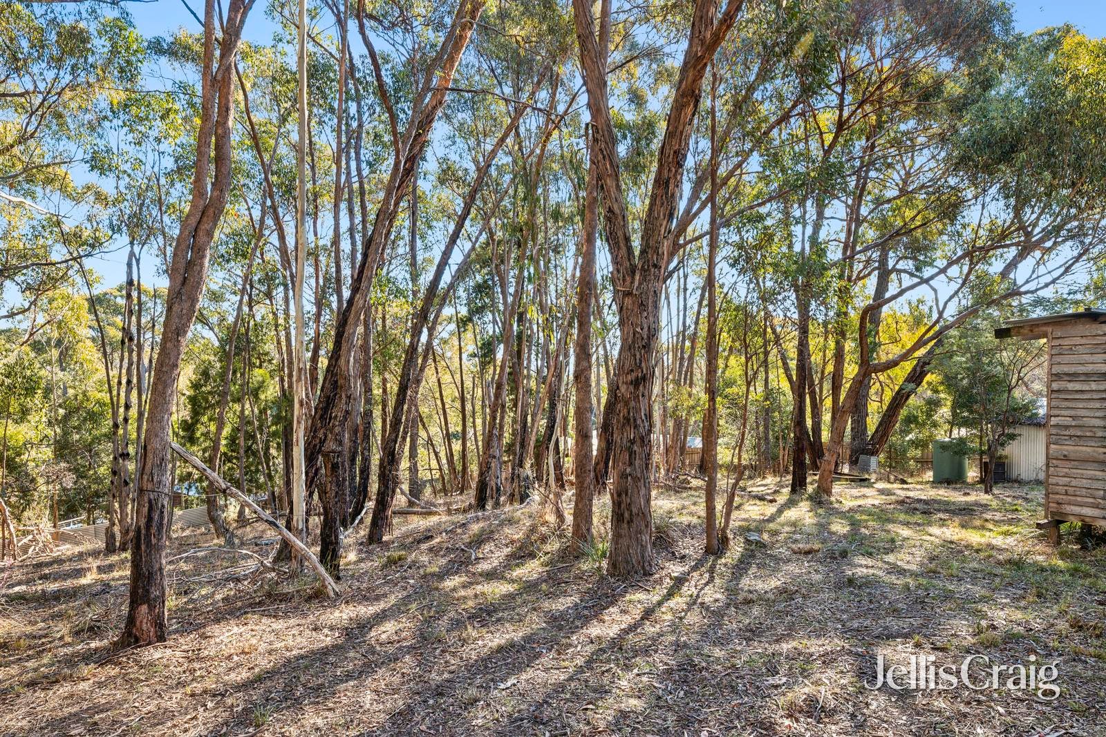 10 Connells Gully Road, Daylesford image 4