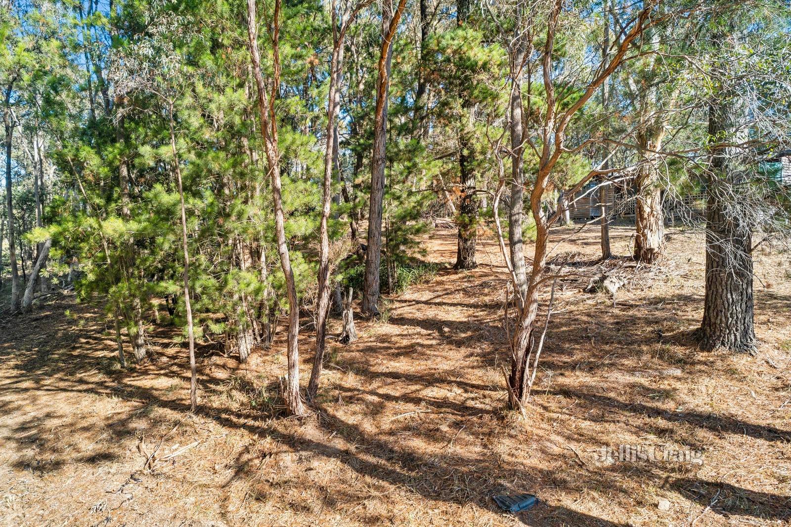 10 Connells Gully Road, Daylesford image 4