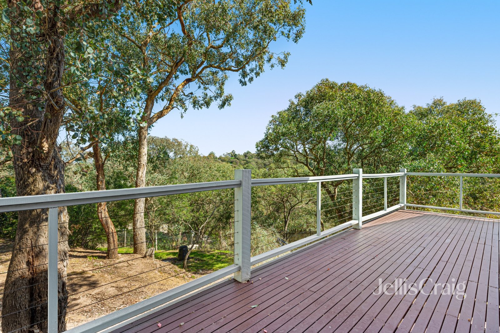 10 Dandallo Drive, Eltham image 8