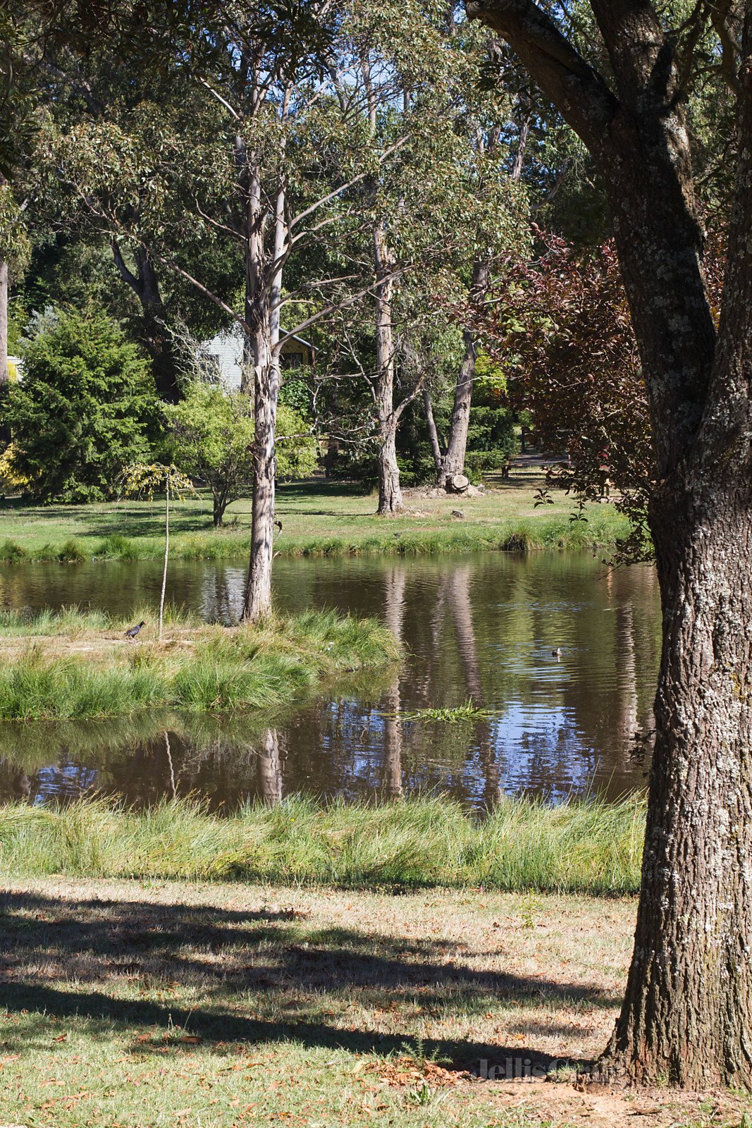 10 Falls Road, Trentham image 2