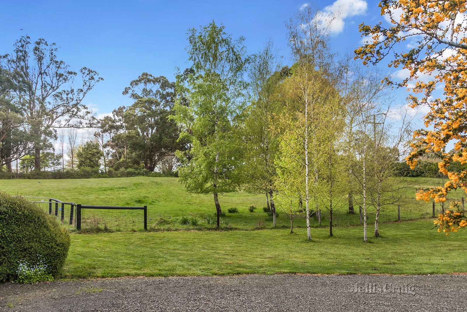 10 Fern Road, Trentham image 14
