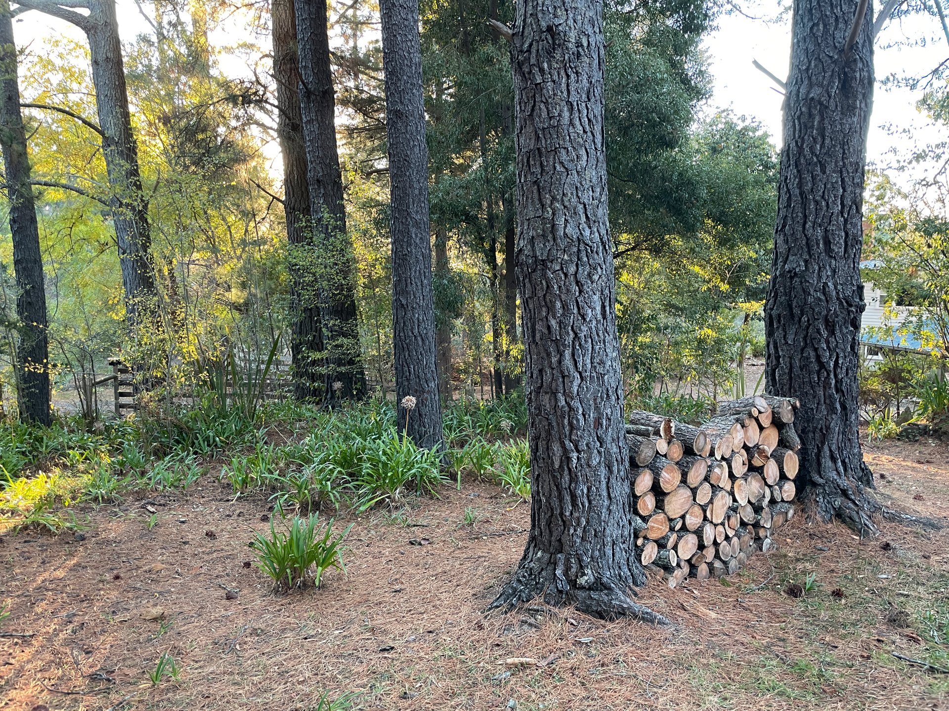10 Fifth Street, Hepburn Springs image 14
