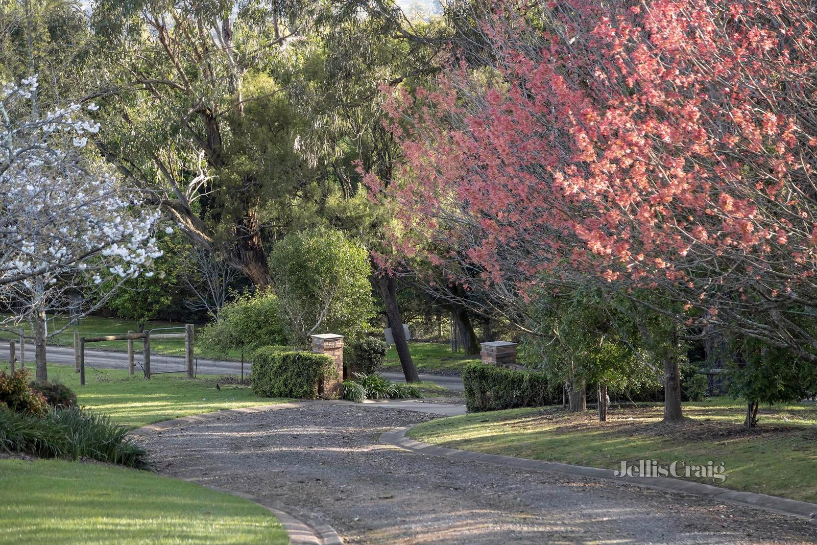 10 Gardiner Road, Seville image 6